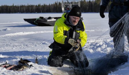 Kaupallinen kalastus napapiirin Miekojärven jäällä